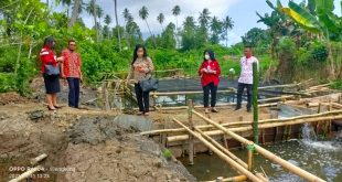 67b0276a-72b1-464a-a253-b51d22a81e5e