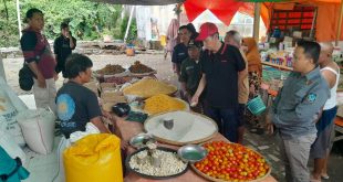 41dd9b62-eacf-4244-9976-08213df52fe7